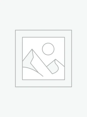 Custom WordPress Themes