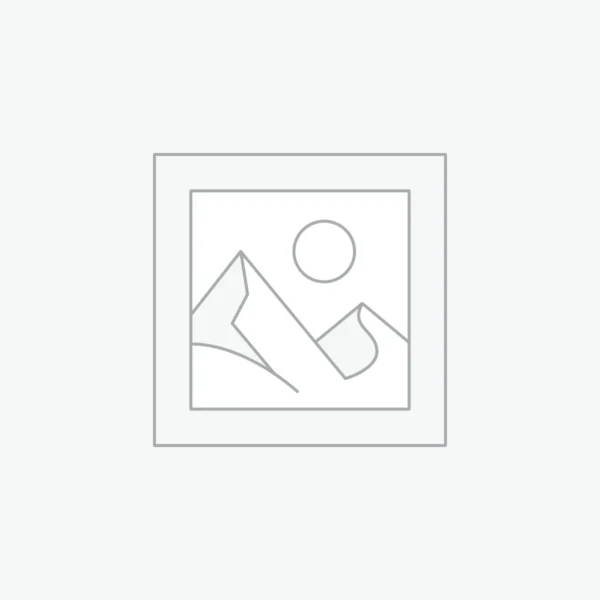 Custom WordPress Themes